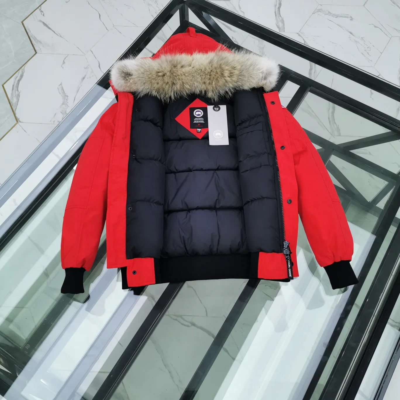 P720 01 model - red